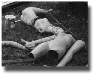Shop Dummies